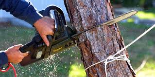 Best Leaf Removal  in Bruceton, TN