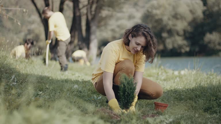 Best Lawn Maintenance Plans  in Bruceton, TN